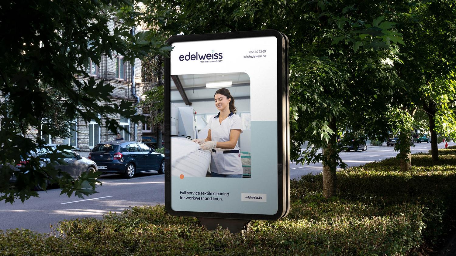 edelweiss liggend headerbeeld