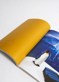PM_Design_WildSpirit_Print_Magazine