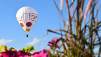 ProudMary_Gediflora_Campagne_Luchtballon