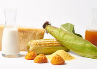 Proud-Mary_Foodies-On-Tour_Cornquet
