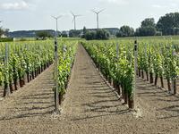 Achter de schermen Geduld
